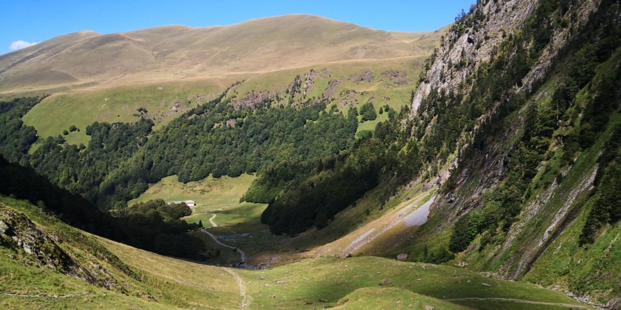 Le 41 Avenue Foch Hotel Bagnères-de-Luchon Екстериор снимка